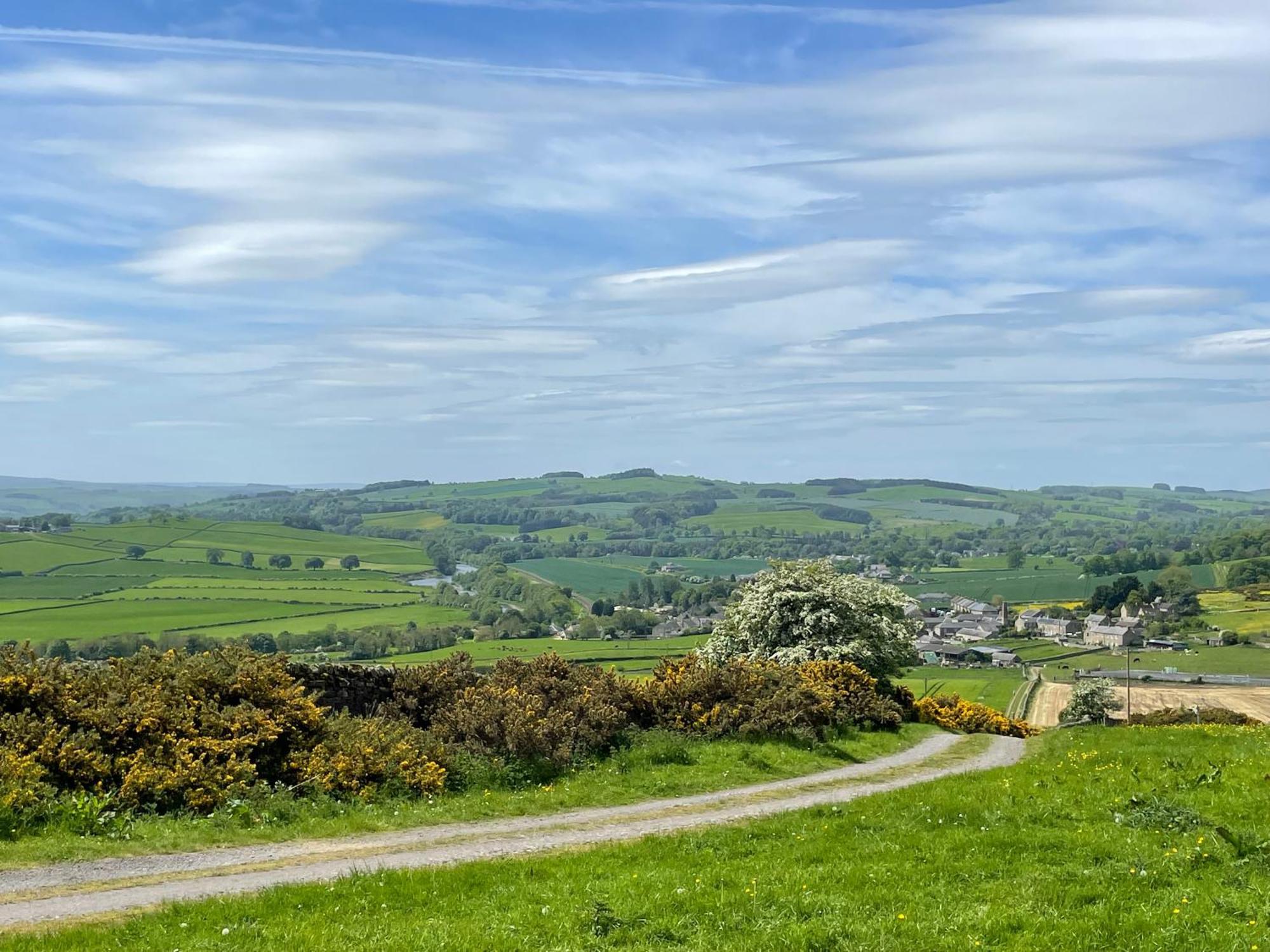 Stay On The Hill - Self Catered Cottages Laverick And Bothy Hexham Exteriér fotografie